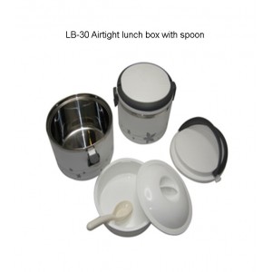 Airtight Lunch Box with Spoon